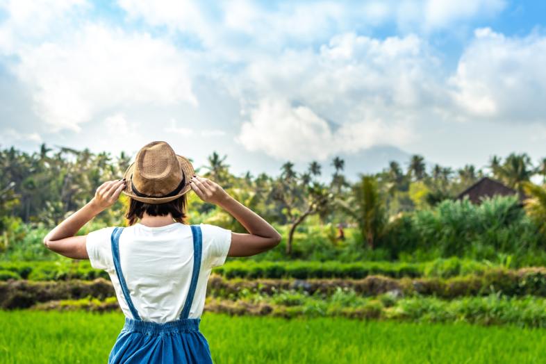 Land Indonesien