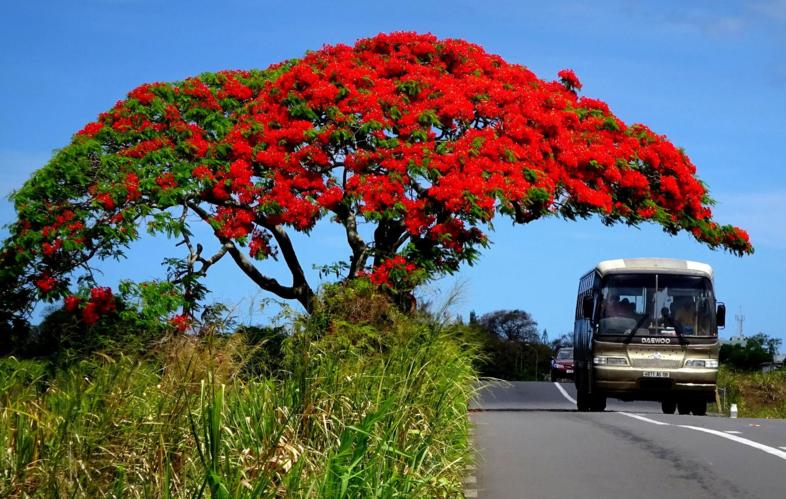 Land Mauritius