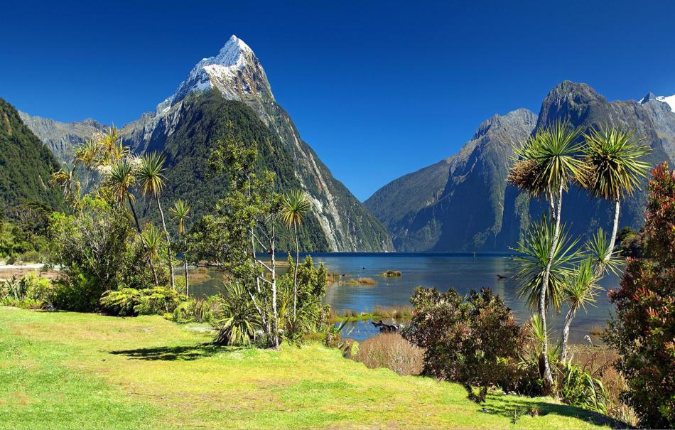 Land Neuseeland