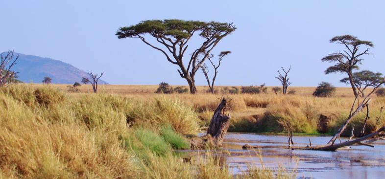 Land Tansania