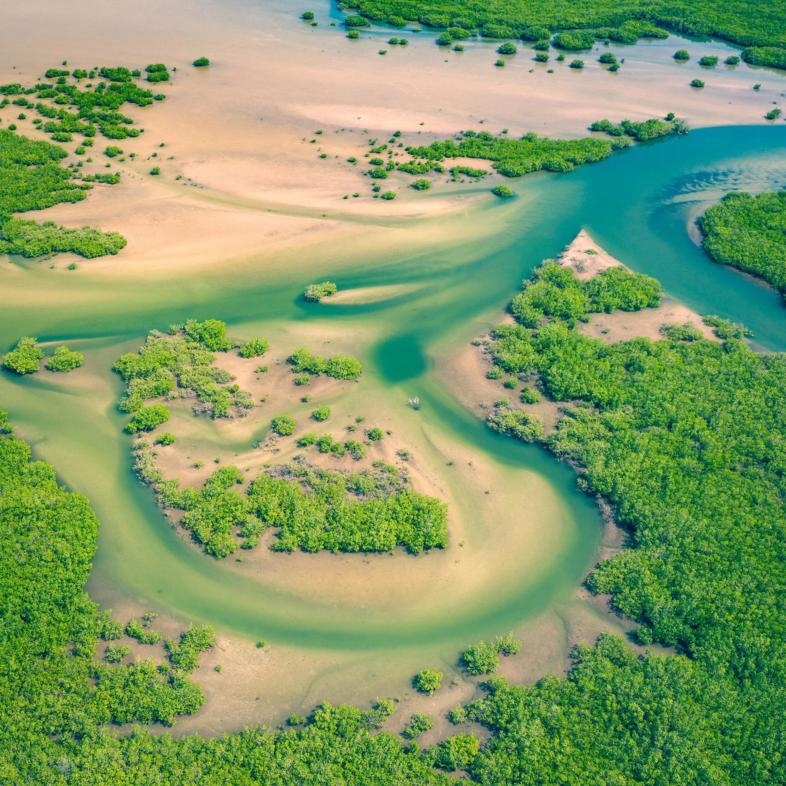 Land Senegal