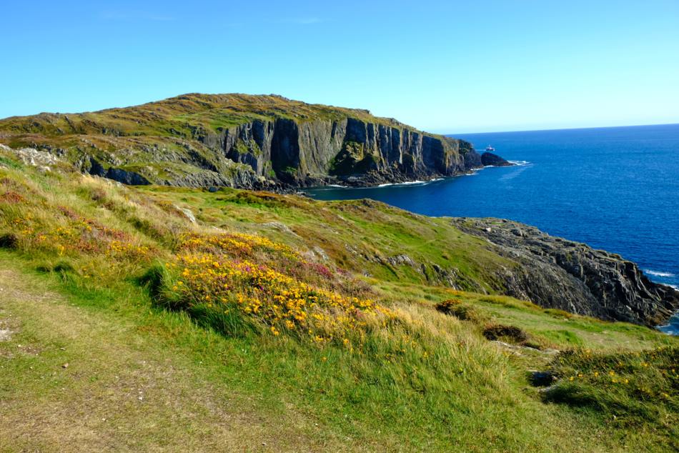 Oberregion Cork