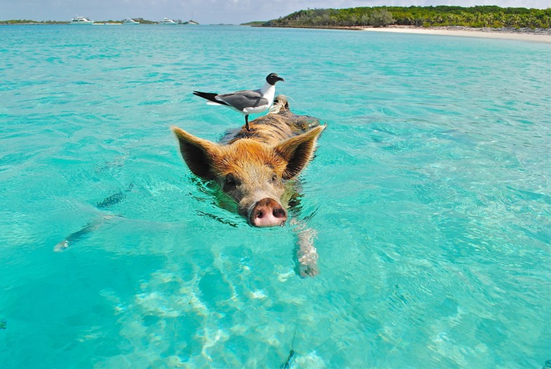 Oberregion Bahamas