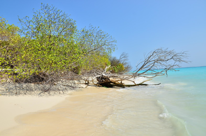 Oberregion Noonu Atoll