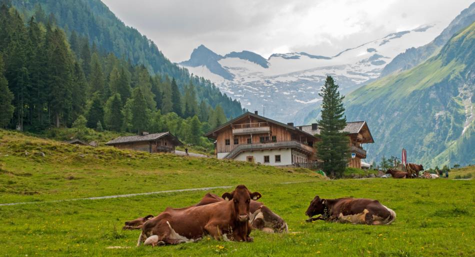 Oberregion Tirol