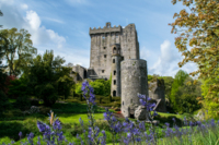 Hotel Irland Rundreise - 10 Tage 986