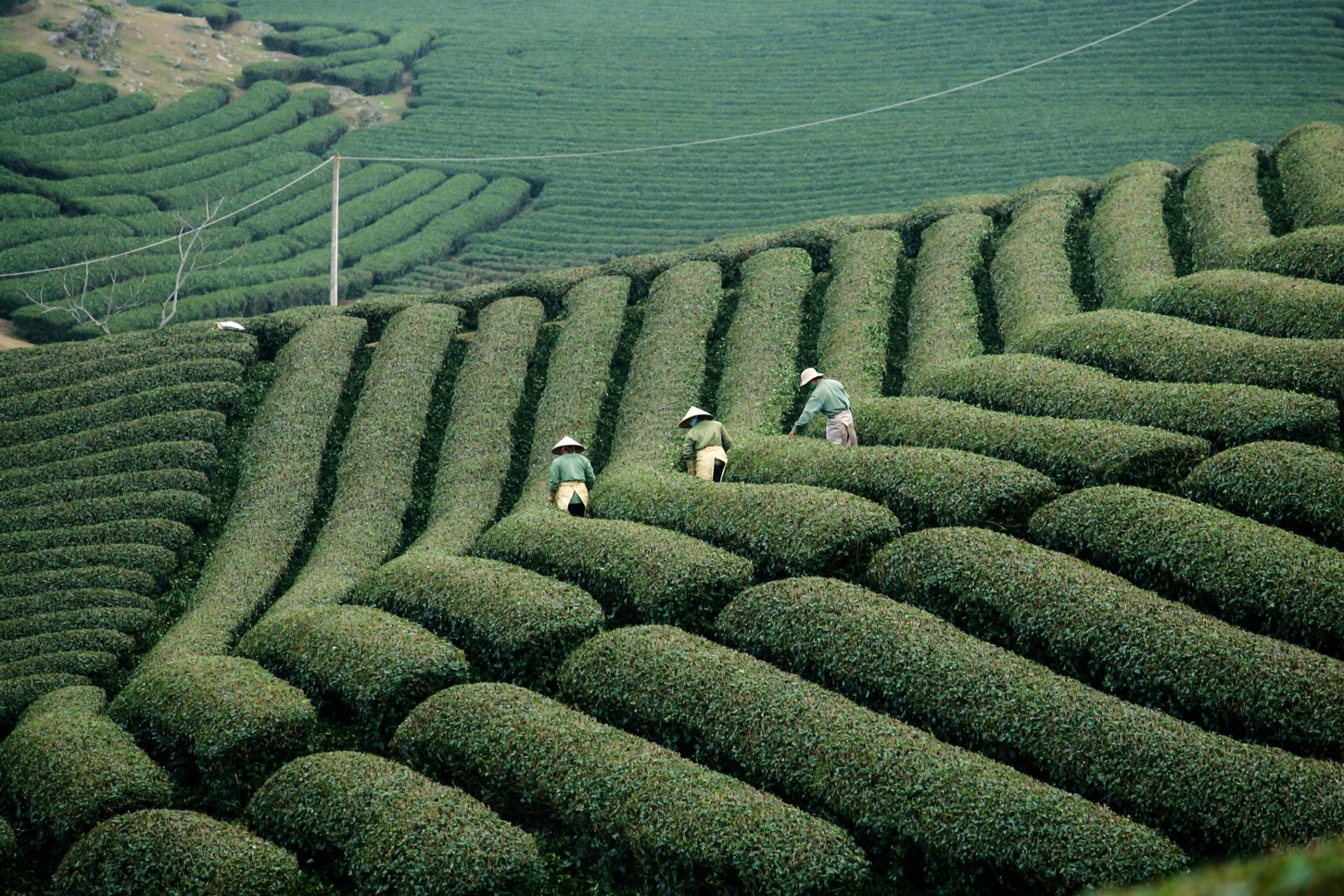 Vietnam