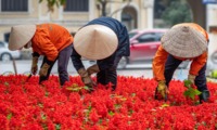 Vietnam