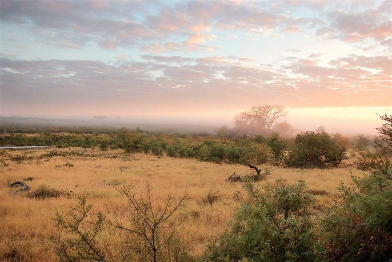 Unterregion Krüger Nationalpark