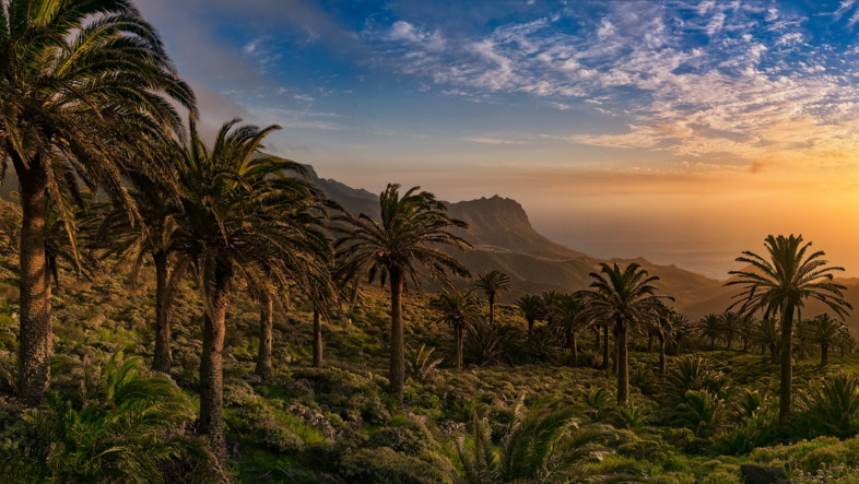 Unterregion La Gomera